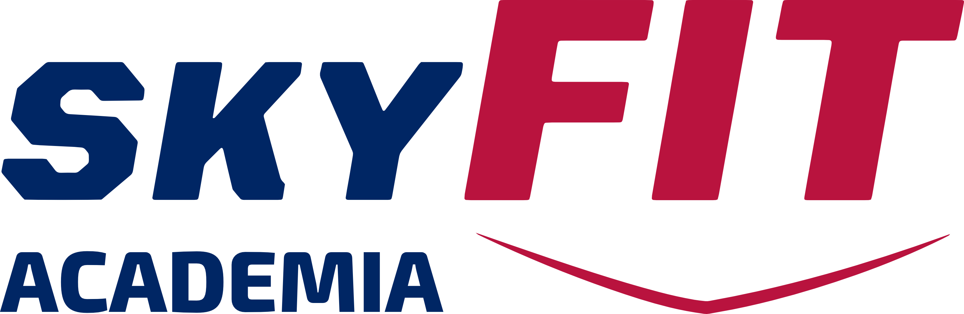 SKYFIT Academia